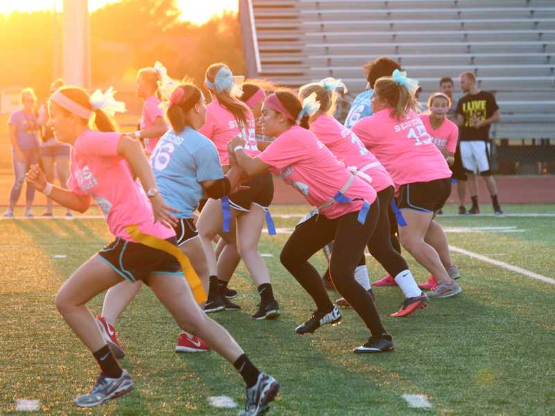 Powderpuff