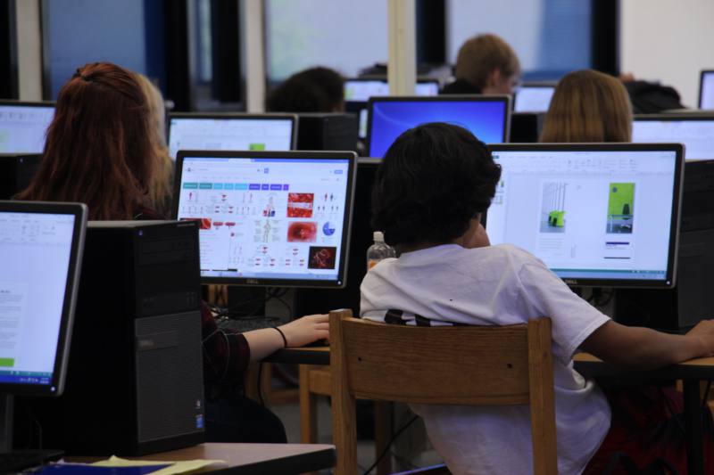 Students use the internet to do research on a class project