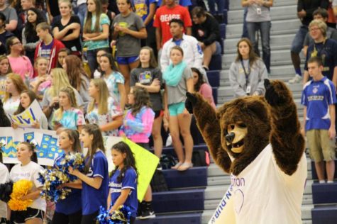 The grizzly bear riling up the crowd for the football game.