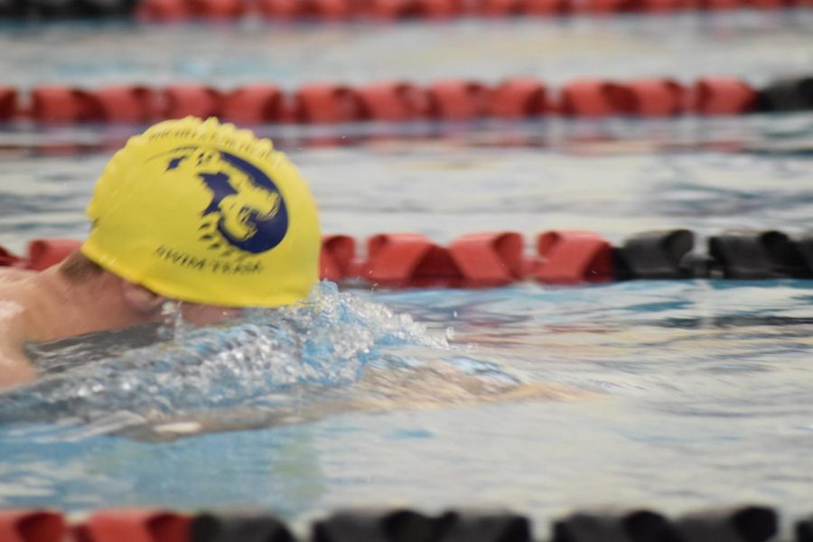 Mens Swim Meet at Heights