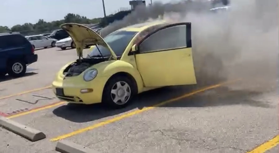 Burning Beetle